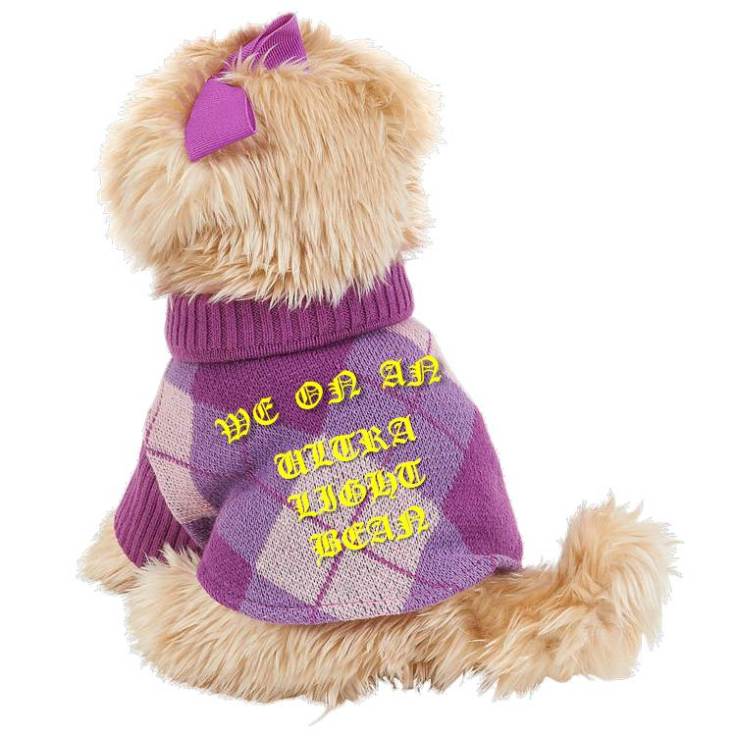 ethel_merchandise_sweater-back